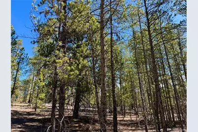 360 Peak View Drive, Leadville, CO 80461 - Photo 20