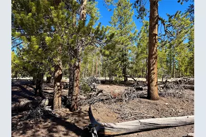 360 Peak View Drive, Leadville, CO 80461 - Photo 14