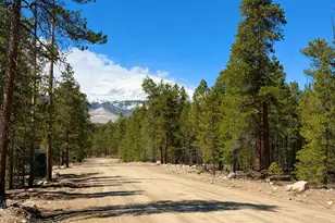 360 Peak View Dr, Leadville, CO 80461 - Photo 1