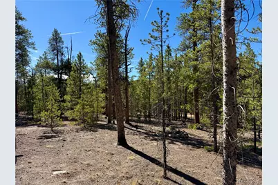 360 Peak View Drive, Leadville, CO 80461 - Photo 16