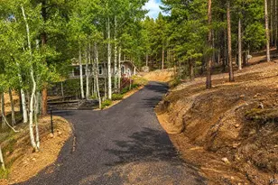 8680 London Ln, Conifer, CO 80433 - Photo 6