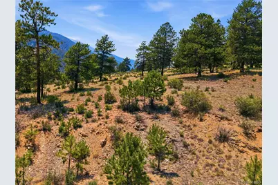 61 Cline Drive, Shawnee, CO 80475 - Photo 6
