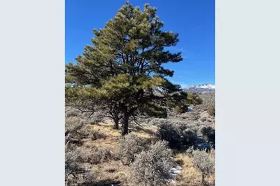 Lot 4875 Durante Road, Fort Garland, CO 81133 - Photo 14