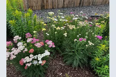 6578 Westcliff Drive, Frederick, CO 80516 - Photo 36