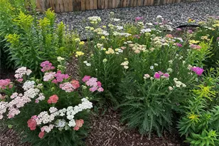 6578 Westcliff Dr, Frederick, CO 80516 - Photo 36