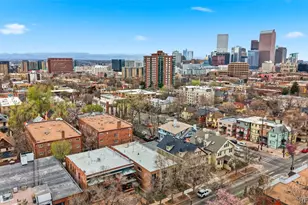1063 N Clarkson St, Denver, CO 80218 - Photo 20