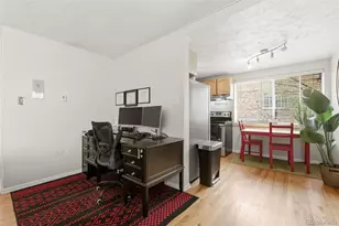 1063 N Clarkson St, Denver, CO 80218 - Photo 8