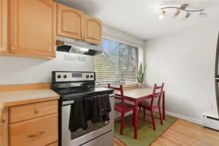 1063 N Clarkson St, Denver, CO 80218 - Photo 12