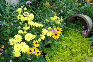 2714 W Irvington Pl, Denver, CO 80219 - Photo 14