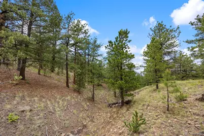 163 Keechi Road, Hartsel, CO 80449 - Photo 16