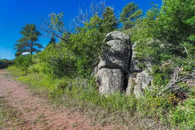 00 Columbine Road, Larkspur, CO 80118 - Photo 4