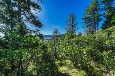 00 Columbine Road, Larkspur, CO 80118 - Photo 8