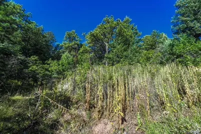 00 Columbine Road, Larkspur, CO 80118 - Photo 16