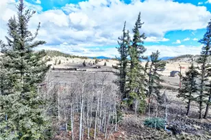 45 Swiggler Ct, Jefferson, CO 80456 - Photo 40
