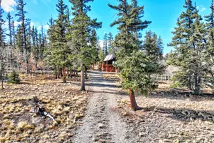 45 Swiggler Ct, Jefferson, CO 80456 - Photo 38