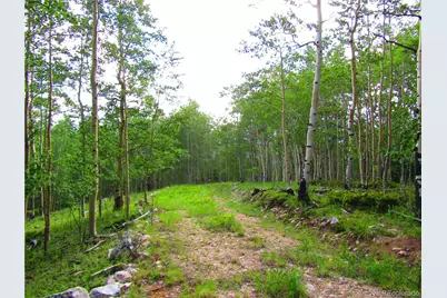 Lot 6427 Laffin Road, San Luis, CO 81152 - Photo 20