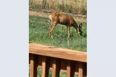 50416 County Road 22, Ramah, CO 80832 - Photo 48