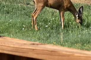 50416 Co Rd 22, Ramah, CO 80832 - Photo 48