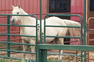 50416 Co Rd 22, Ramah, CO 80832 - Photo 42