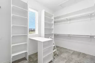 1168 Wintergate Cir, Castle Rock, CO 80104 - Photo 26