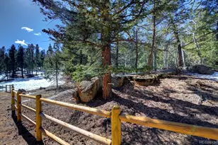 325 Rd D, Pine, CO 80470 - Photo 30