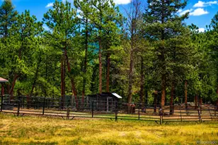 325 Rd D, Pine, CO 80470 - Photo 22