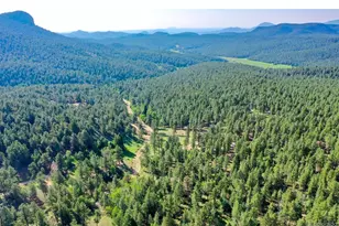 325 Rd D, Pine, CO 80470 - Photo 32