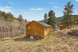 321 E Cline Dr, Shawnee, CO 80475 - Photo 32