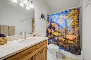 321 E Cline Dr, Shawnee, CO 80475 - Photo 18