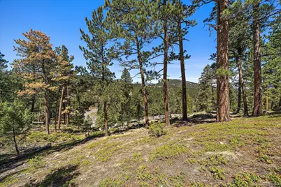 6875 Lynx Lair Road, Evergreen, CO 80439 - Photo 10