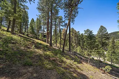6875 Lynx Lair Road, Evergreen, CO 80439 - Photo 14