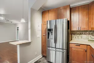 960 N Sherman Street, Denver, CO 80203 - Photo 6