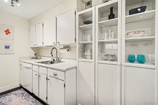 1233 N Ogden St, Denver, CO 80218 - Photo 10