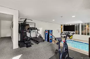 1233 N Ogden St, Denver, CO 80218 - Photo 18