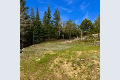 33606 Gap Road, Golden, CO 80403 - Photo 26