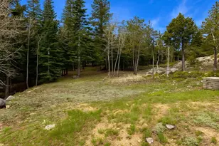 33606 Gap Rd, Golden, CO 80403 - Photo 26