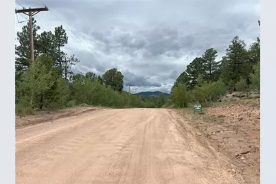 155 County Road 403, Florissant, CO 80816 - Photo 10