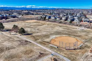 448 Blue Teal Dr, Castle Rock, CO 80104 - Photo 44