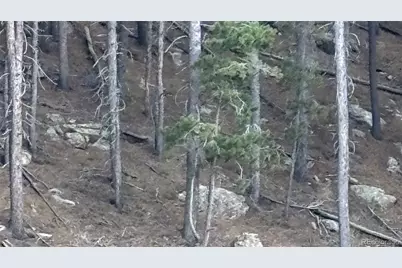 1 Miners Road, Black Hawk, CO 80422 - Photo 4