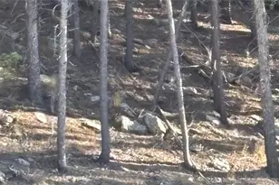 1 Miners Rd, Black Hawk, CO 80422 - Photo 1