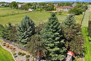 8898 Longs Peak Cir, Windsor, CO 80550 - Photo 44