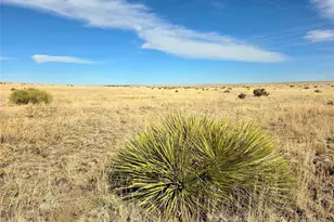 Tbd County Road 103, Walsenburg, CO 81089 - Photo 1