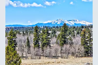 64 Colt Lane, Como, CO 80432 - Photo 6