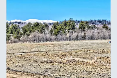 64 Colt Lane, Como, CO 80432 - Photo 4