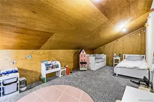 421 Co Rd 804, Fraser, CO 80442 - Photo 42