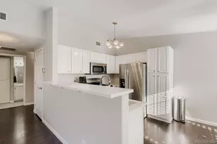 3855 Canyon Ranch Road, Highlands Ranch, CO 80126 - Photo 4