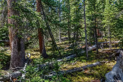 245 El Lobo Lane, Fairplay, CO 80440 - Photo 12