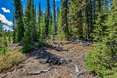 245 El Lobo Lane, Fairplay, CO 80440 - Photo 26