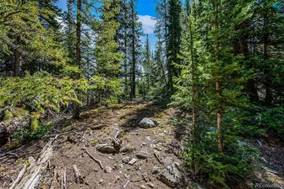 245 El Lobo Lane, Fairplay, CO 80440 - Photo 14