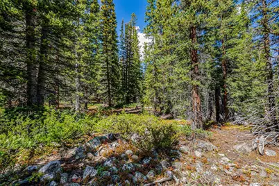 245 El Lobo Lane, Fairplay, CO 80440 - Photo 18